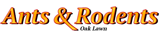 Oak Lawn Ant Exterminator & Rodent Control Company Logo